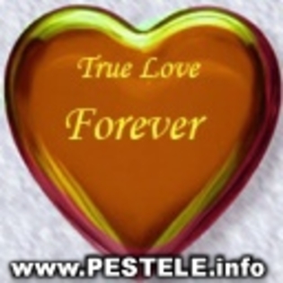 inima maro cu "True Love Forever"