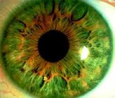 Ochi verde de aproape
