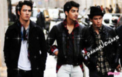 29770164_OWUVBJQLZ - Jonas Brother