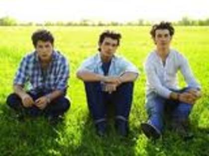 Kevin,Nik si Joe pe iarba - Jonas Brothers