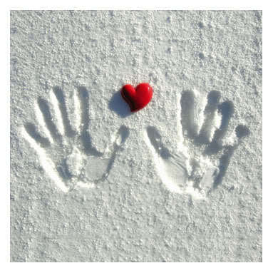 winterhands - poze