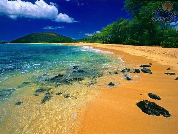 big_beach_maui_hawaii_L