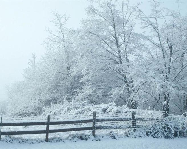 55283265hzVsgO_ph - poze