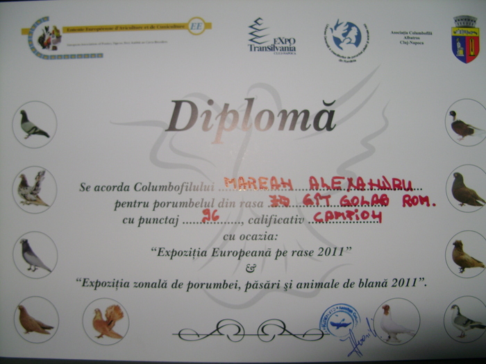 expozitia europeana pe rase cluj 2011 - Diplome si Medalii