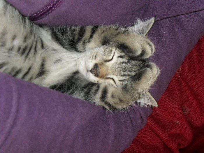 149028_1352171224964_1851903048_615884_7607868_n