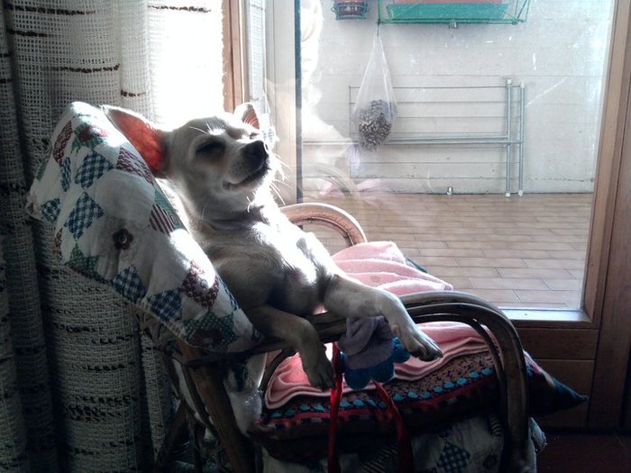 150204_10150336498375646_908310645_15995441_8036228_n