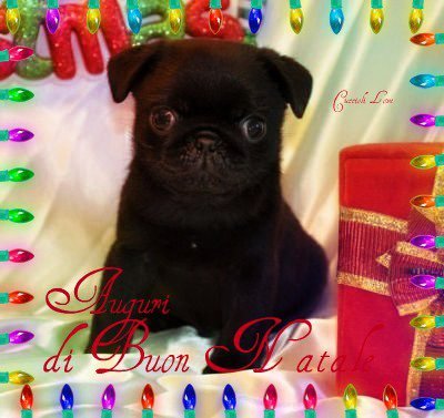 163493_174643352568520_108486955850827_427275_2517828_n