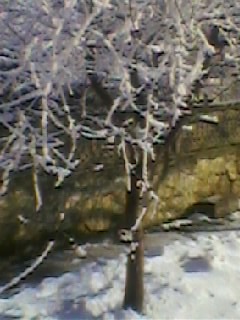 SP_A0892 - peisaj iarna