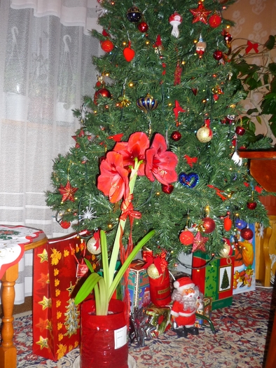 ianuarie 2011