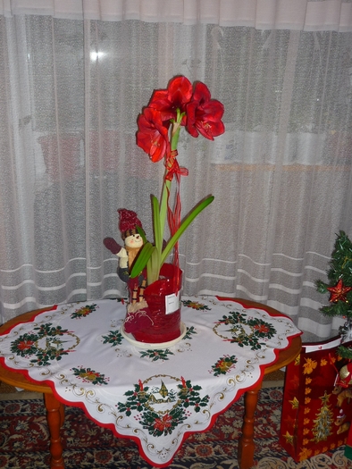 ianuarie 2011