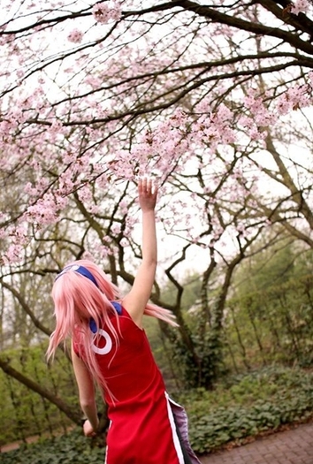 blossom_id_by_onigirisakura-d2oa5x2 - Sakura