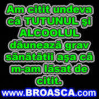 11316455_BXOTPGQJD