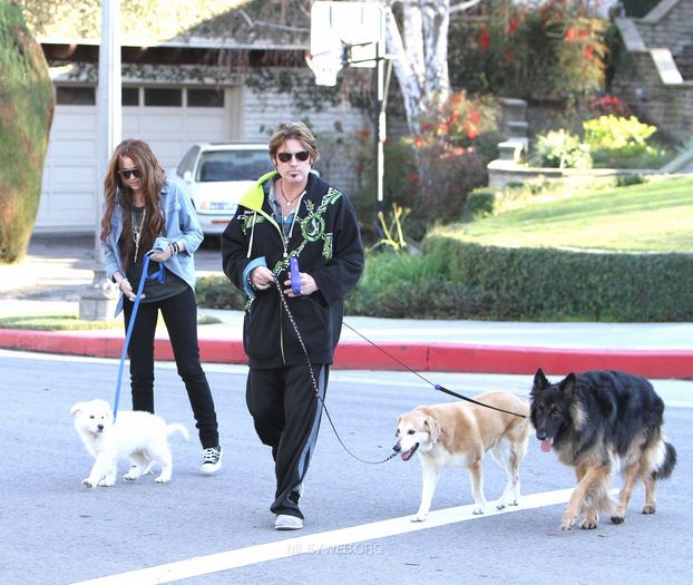 10 - Out and about with her Dog in Toluca Lake - January 27 2010