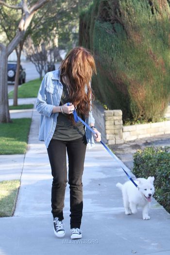 11 - Out and about with her Dog in Toluca Lake - January 27 2010