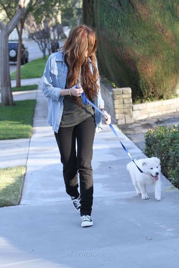 12 - Out and about with her Dog in Toluca Lake - January 27 2010