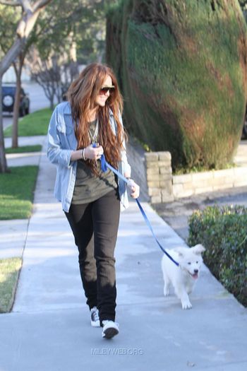 13 - Out and about with her Dog in Toluca Lake - January 27 2010