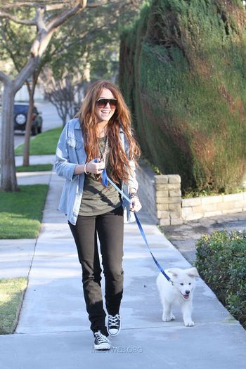 14 - Out and about with her Dog in Toluca Lake - January 27 2010