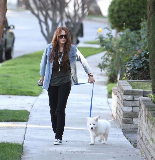 16 - Out and about with her Dog in Toluca Lake - January 27 2010