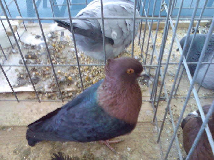 Imag071