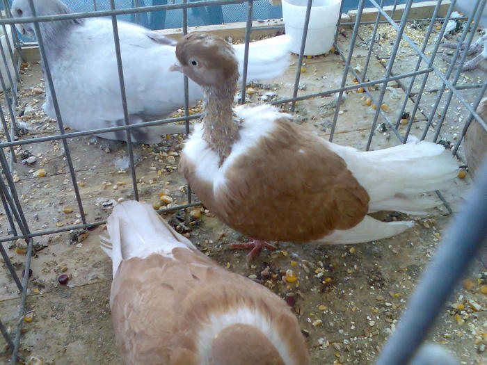 Imag072