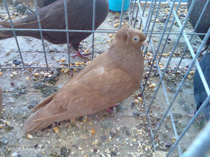 Imag077