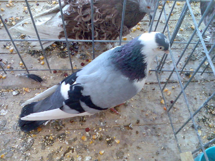 Imag079