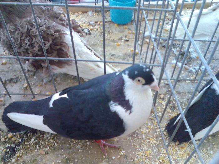 Imag080