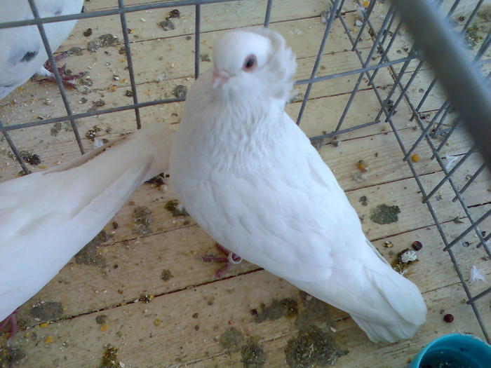 Imag090