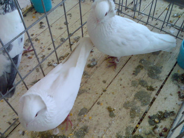 Imag091