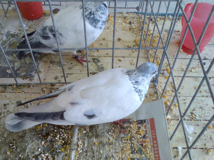 Imag092