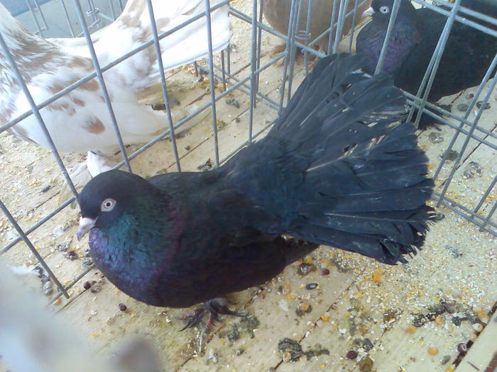 Imag093