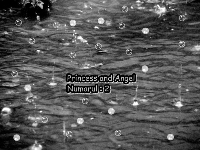 1 - 2Princess and Angel