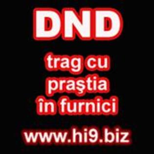 dnd trag cu prastia in furnici