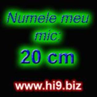 Numele meu mic 20 cm