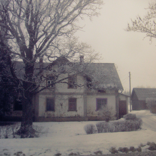 00016 - Winterrrr