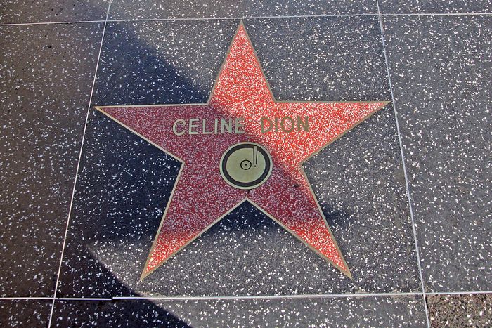 Celine_Dion_Star_2008 - Celine Dion