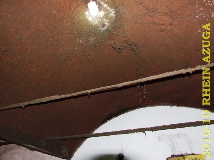 2010 10 Rhein Azuga 063