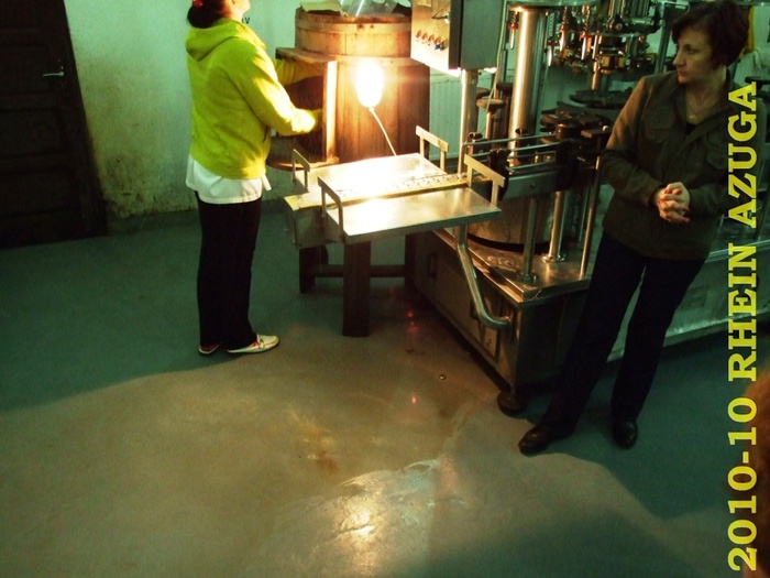 2010 10 Rhein Azuga 068