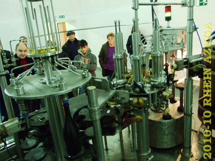 2010 10 Rhein Azuga 074