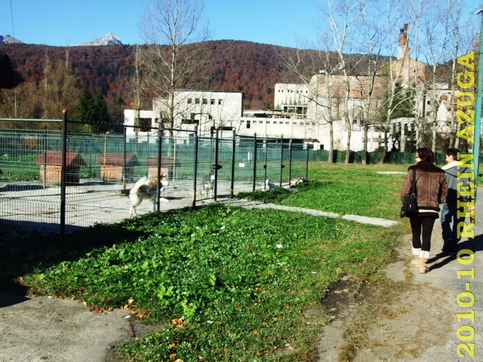 2010 10 Rhein Azuga 132