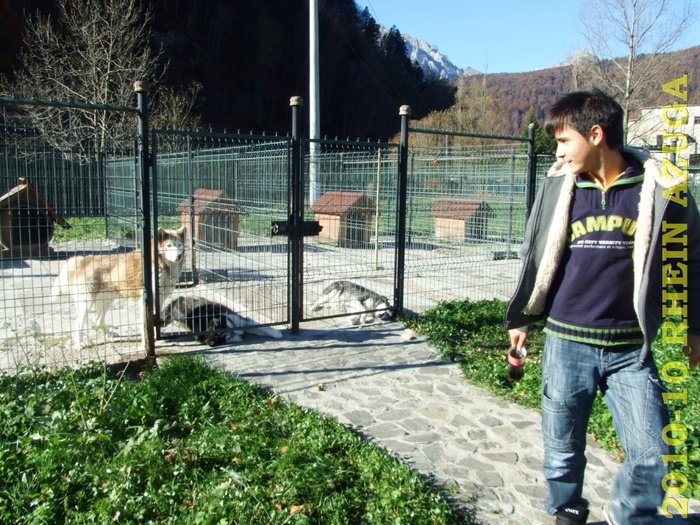 2010 10 Rhein Azuga 137