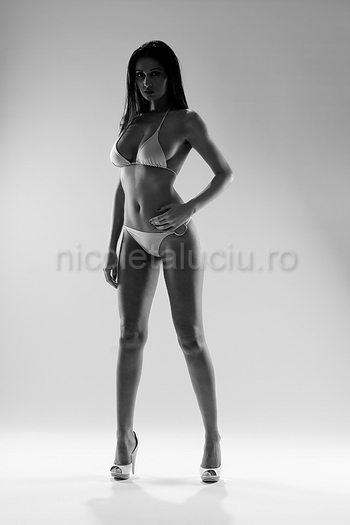 134_image1_galerie026 - Nicoleta Luciu