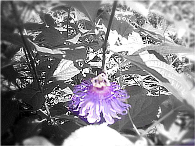 PHTO0056-1