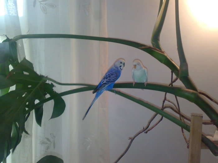 08082010380 - familie
