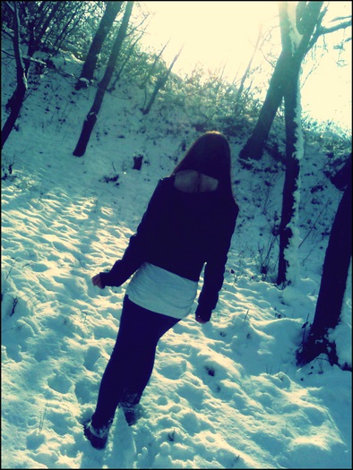  - Iarna