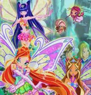 WINX; foto
