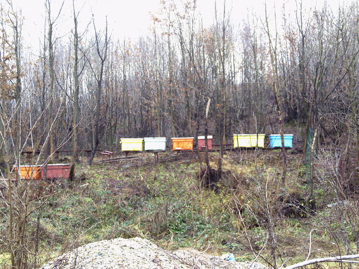 locatia 3 - 2011 apicole