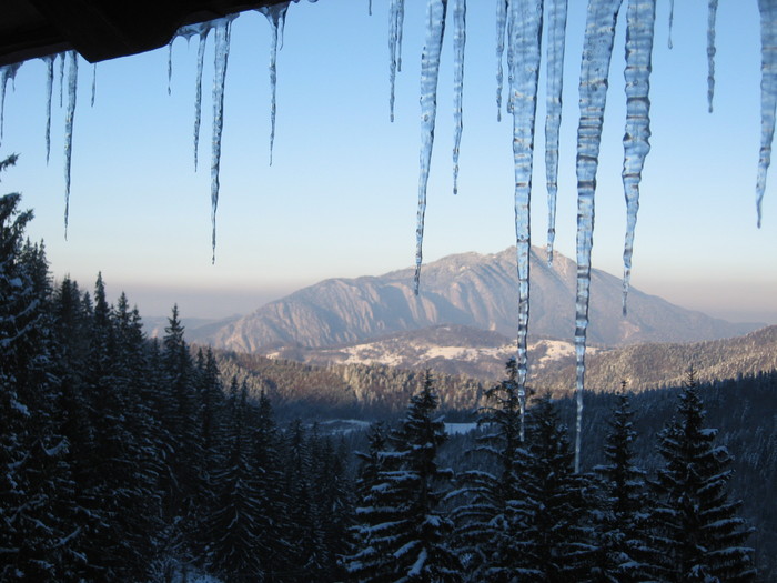 din camera masiv. Postavarul