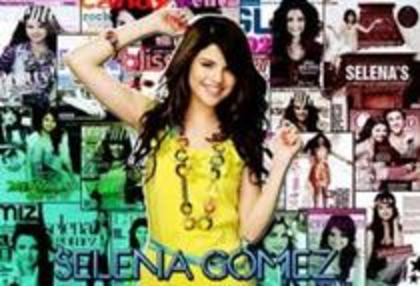 29378240_IYHURVXSP - selena coll