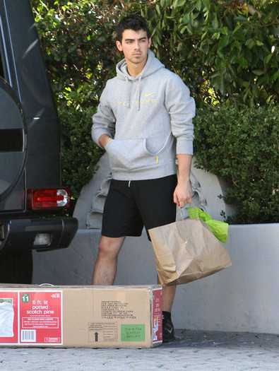 Joe+Jonas+Joe+Jonas+Bringing+Home+Fake+Christmas+szXCpYSO-RHl